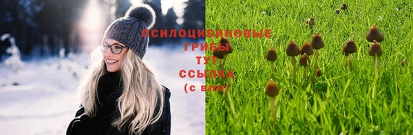 дмт Абинск